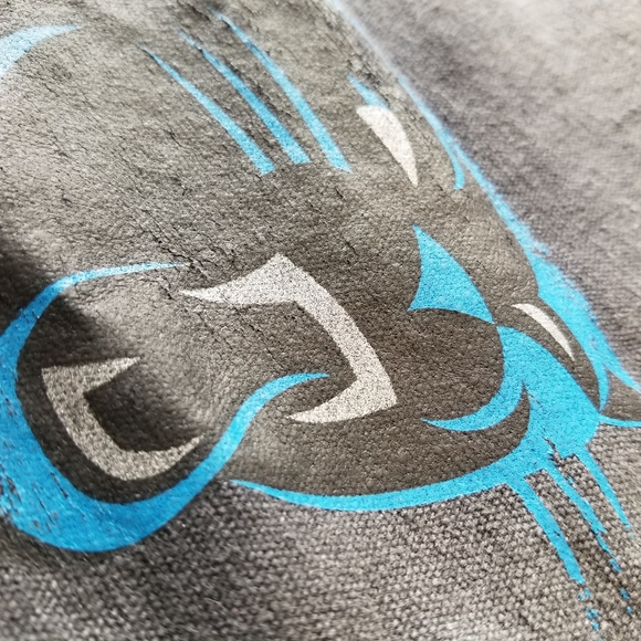 NFL Carolina Panthers Tote Official NFL Gear NWT - Picture 3 of 9